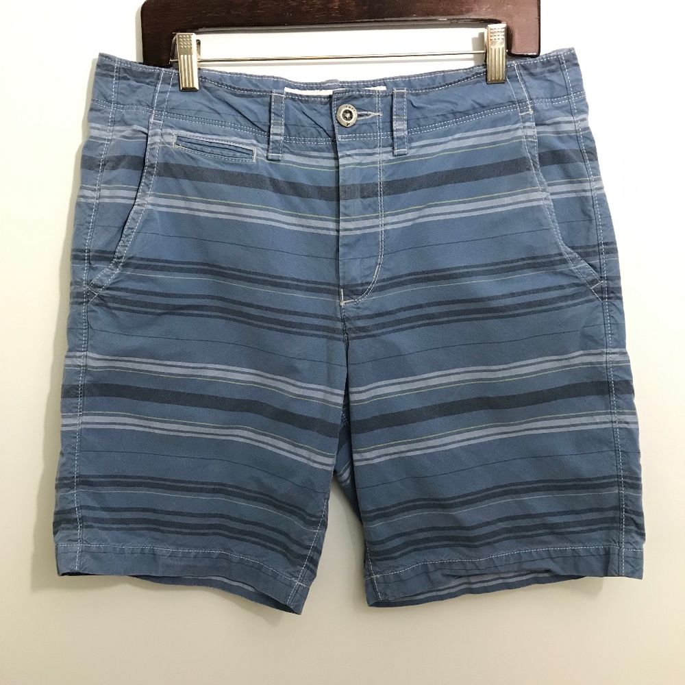 American Eagle Blue Striped Men's Board Shorts